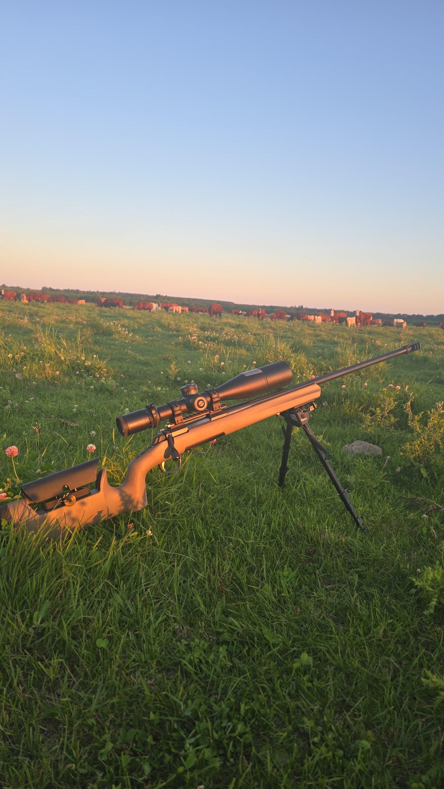 Photo of Browning xbolt max 6.5 prc