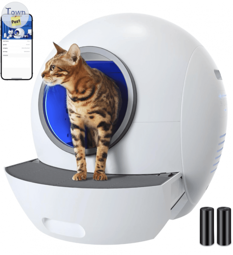 Photo of Self-Cleaning cat litter box