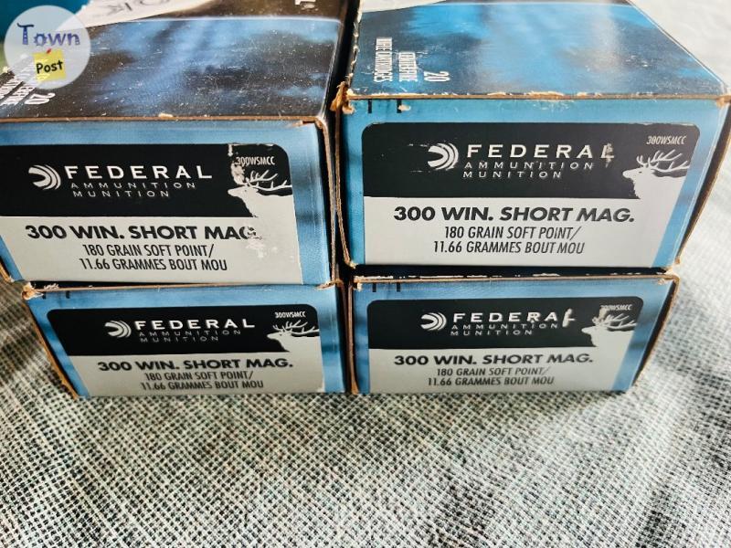 Photo of 300 WSM ammunition. $60 per box.