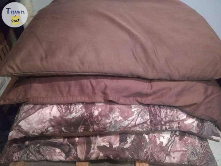 Photo of 2 twin comforters with pillow cases/covers 